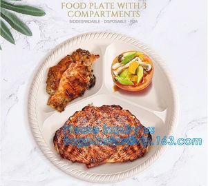 biodegradable corn starch plate,factory wholesale biodegradable corn starch food plate,Factory 6.2 inch Custom Logo Eco