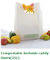 En13432 certified custom printed wholesale biodegradable compostable plastic pharmacy bag with singlet handle