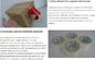 Discount Quality Guaranteed Transparent Adhesive Glue BOPP Material Package Packing Tape,Sealing Tape Packaging Packing