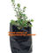 horticulture garden planting bags grow bags er plant bags,greenhouse drip irrigation applications and are excellent for