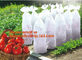 high light transmittance solar control seeding nursery greenhouse covers,100% virgin LDPE protective single layer cucumb