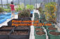 Plastic Planter, Grow Bag, garden bags, grow bags, hanging plant bags, planters