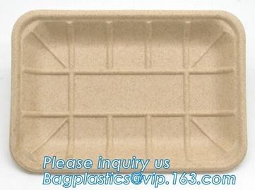 corn starch biodegradable meat tray corn starch dinnerware sets  biodegradable cake tray Rectangular Tray Paper Food Tra