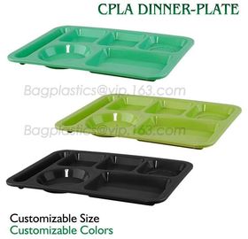 School use high quality biodegradable lunch plate for students, children plate with lid, Dishwasher Safe Shool Hospital