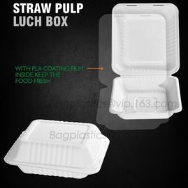 lunch box containers for restaurant, PLA Lunch Box with Lid For Kids, PLA Material Healthy Plastic Lunch Bento Box