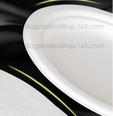 white circular paper dinner plates with PLA coating film, tableware, Light Industry &amp; Daily Use, Tableware, Plates