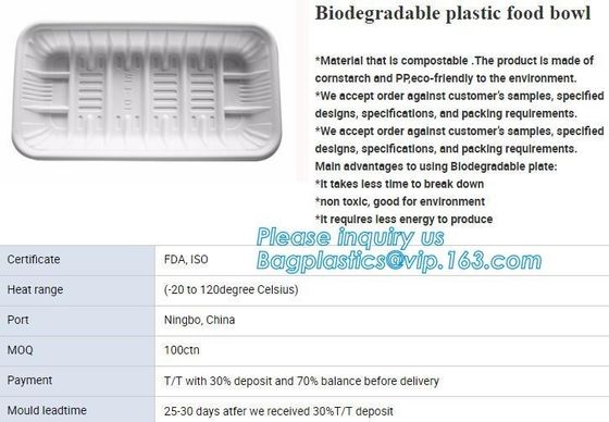 SUGARCANE CUPS PLATE BOWL CONTAINERS, ECO FRIENDLY BIOGERADABLE CULTERY, PLA TRAY, STARCH BASED PRODUCTS compostable