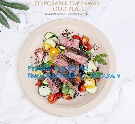 custom printed party plates disposable sugarcane bagasse plate Biodegradable Bamboo disposable paper plates bagease pack