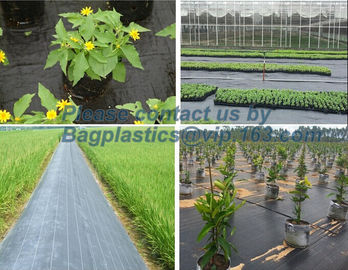 Water management weeb control pavement preservation courtyard beautify anti insect anti mold seedbed protection vegetati