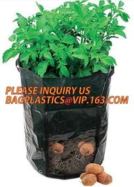 Garden grow bag potato grow bag murphy bag PE fabric,40 / 50 / 100 / 200/300gallon durable heavy duty potato grow bag