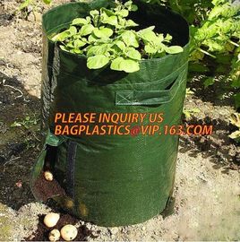 UV resistant PE potato growing bag garden planter bags with Flap and handles,Flap and Handles Collapsible 10 gallons