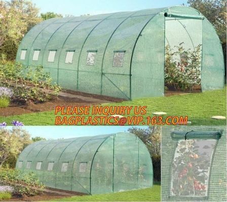 polycarbonate plastic sheet agricultural mini garden green house,plastic walk in dome garden green house, SUPPLIES, PAC