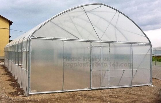 Garden Walk In 4 Shelves&amp; Reinforced PE Cover green houses,Agriculture Farm Commercial Plastic PE Film Multi Spans Green