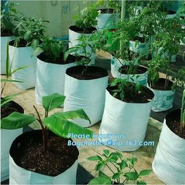 Drain Growing Bags-White Color Grow Bags-100%Virgin Raw PE Planter Bags -25Gallon 150Microns Thickness Planting Bag, PAC