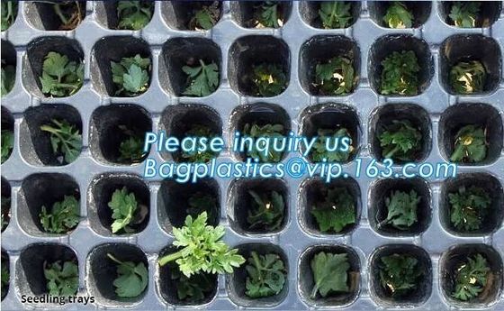 plastic nursery tray seedling tray have different numbers cups,Plastic Flowers Seedling Hydroponics Nursery Trays, BIO