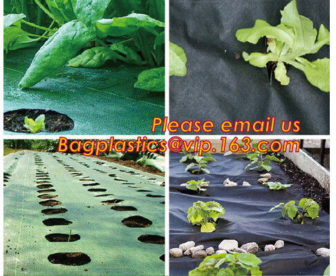 4 foot wide 1x10m/roll landscape anti weed fabric non woven professional organic strawberry weed control fabric BAGEASE