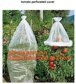 Garden used tomato plastic film cover,high light transmittance solar control seeding nursery greenhouse covers,100% virg