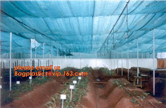 agriculture anti insect net on roll insect proof mesh for greenhouse,Greenhouse Anti Insect Netting /Agriculture Netting