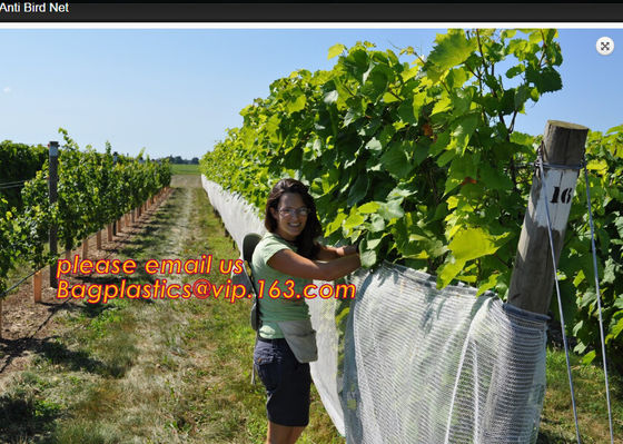 Hot Selling Greenhouse Anti Insect Netting with Competitive Price,virgin hdpe anti insect net for agriculture, BAGPLASTI