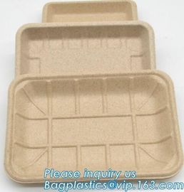 corn starch biodegradable meat tray corn starch dinnerware sets  biodegradable cake tray Rectangular Tray Paper Food Tra