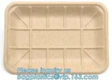 biodegradable food tray for fruit or snack biodegradable corn starch disposable plastic food tray PLA Foamed Biodegradab