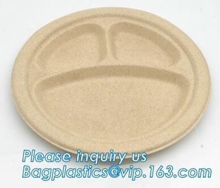 biodegradable disposable corn starch tray compartment catering tray fruit packaging tray made from cornstarch