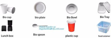 blister packaging tray, rectangular plastic food tray, CornStarch PLA cement tray