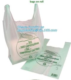 Fruit And Vegetable Bag Degraded One Year On Composting Condition, PLA, Compostable Plastic Bag, Flat Bag