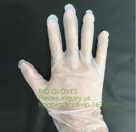 Biodegradable and compostable PLA gloves,OEM cheap biodegradable kitchen disposable gloves with EN13432 BPI OK compost h