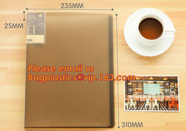 Wholesale pp file folder factory price plastic folders, fc/letter size pp poly twin 2 pocket folder plastic presentation