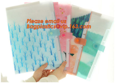 hot selling plastic pp rainbow expanding file wallet folder with elastic band