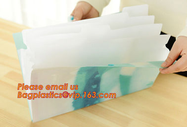 hot selling plastic pp rainbow expanding file wallet folder with elastic band