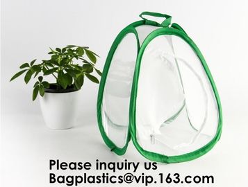 Agricultural Greenhouses for Tomato Planting,Pop-Up Tomato Plant Protector Serves as a Mini Greenhouse to Accelerate Gro