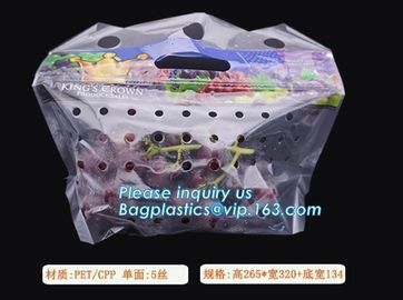 Hang Hole Plastic Stand Up Cherry Bag Factory, Fresh fruit bag(Cherry/Lichi/grape), Perforated Standup Bag for Fruit Pac