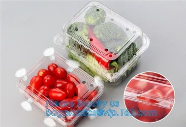 Blister Packaging Food Container,Disposable Blister Fruit Salad Container,Plastic blister fruit box / container / fruit