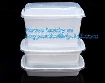 Factory Direct Lid Plastic Lunch Box Clear Food Container,Keep Fresh Crisper Food Box,Fresh Boxpp packaging disposable c