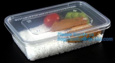 transparent pp bento box,lunch box plastic disposable compartment food containers,food,lunch,BBQ,noodles,salad,corn kern