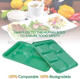 School use high quality biodegradable lunch plate for students, children plate with lid, Dishwasher Safe Shool Hospital