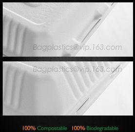 School lunch box, Fresh Preserved Compartment PLA Lunch Box, Disposable clear PLA square lunch box microwave safe