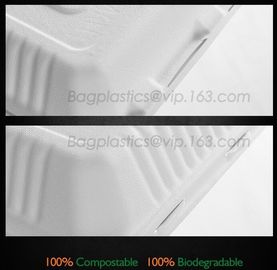 School lunch box, Fresh Preserved Compartment PLA Lunch Box, Disposable clear PLA square lunch box microwave safe