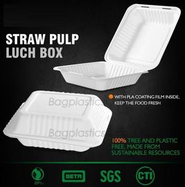 lunch box containers for restaurant, PLA Lunch Box with Lid For Kids, PLA Material Healthy Plastic Lunch Bento Box