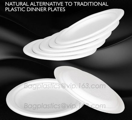 round plate for dinner use, compostable products round plate for dinner, dinner plate products