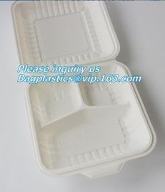 100% Biodegradable sugarcane pulp Lunch disposable Box bagasse food container disposable clamshell lunch box bagease pac