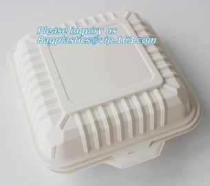 100% Biodegradable sugarcane pulp Lunch disposable Box bagasse food container disposable clamshell lunch box bagease pac