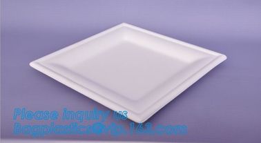 7 inch Pretty Food Grade Eco Biodegradable Tableware Disposable Corn Starch Plate,corn starch disposable plastic plates/