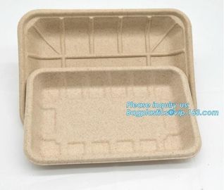 Biodegradable &amp; Compostable 8 inchSquare sugarcane trays,sugarcane pulp compostable serving tray,lunch tray bagasse suga