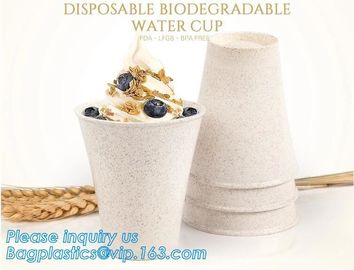 Custom Disposable Clear Cold Drink Juice Cup 100% Ecofriendly Biodegradable Compostable PLA Plastic Coffee Drinking Cup