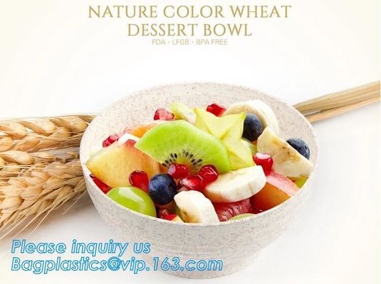 Wheat straw Compostable PLA eco-friendly biodegradable Disposable Large PLA PET Plastic Fruit 32oz Salad Bowl With Lid