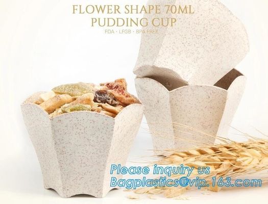 Wheat straw Compostable PLA eco-friendly biodegradable Disposable Large PLA PET Plastic Fruit 32oz Salad Bowl With Lid