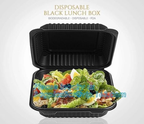 Natural Compostable 3 Compartment Biodegradable Disposable Corn Starch Food Container,starch 4 compartment microwave foo